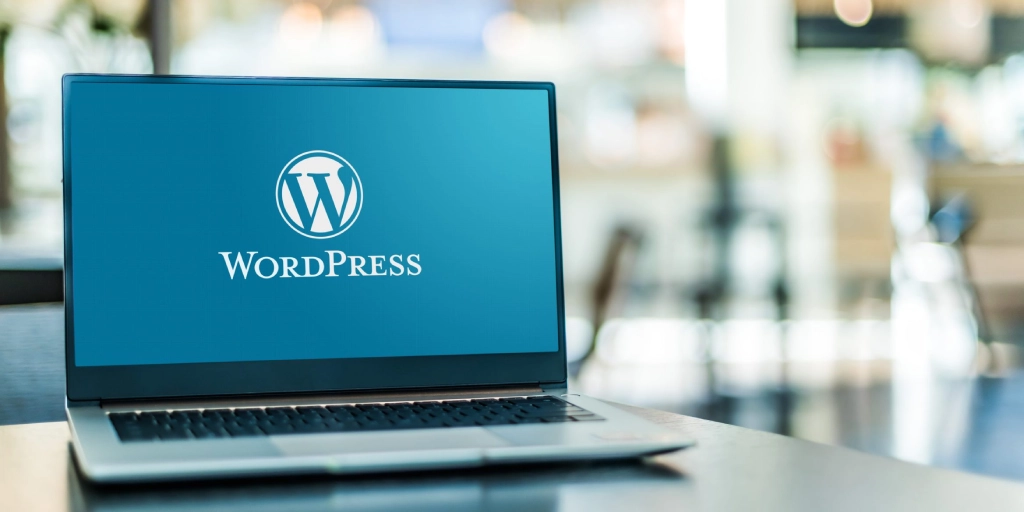 What Are WordPress Development Services